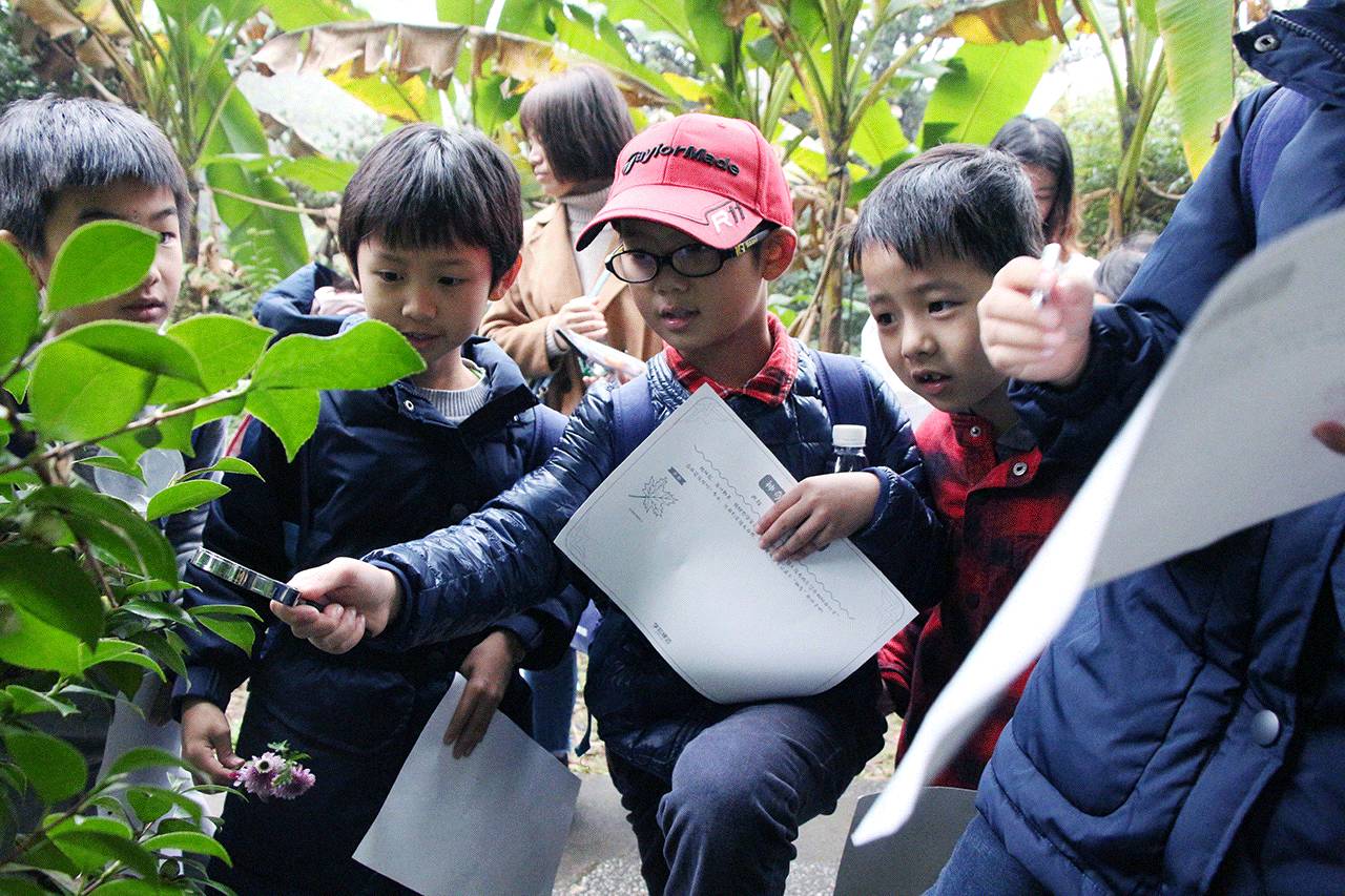 光谷外校小学部武汉植物园感秋之旅